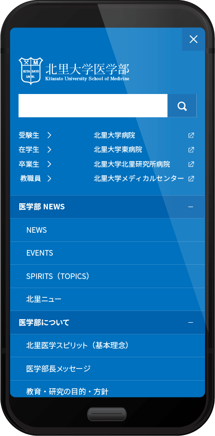 06-06