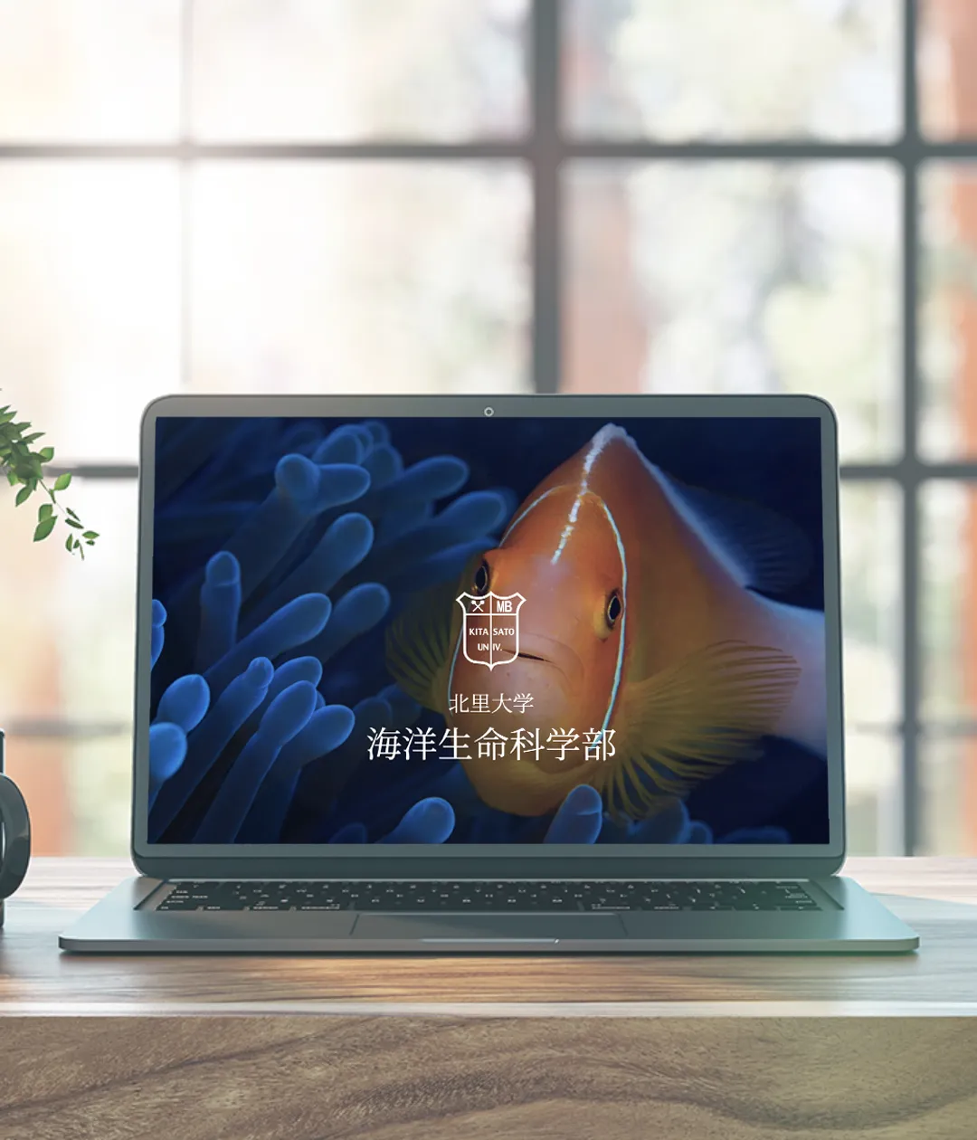 北里大学 海洋生命科学部